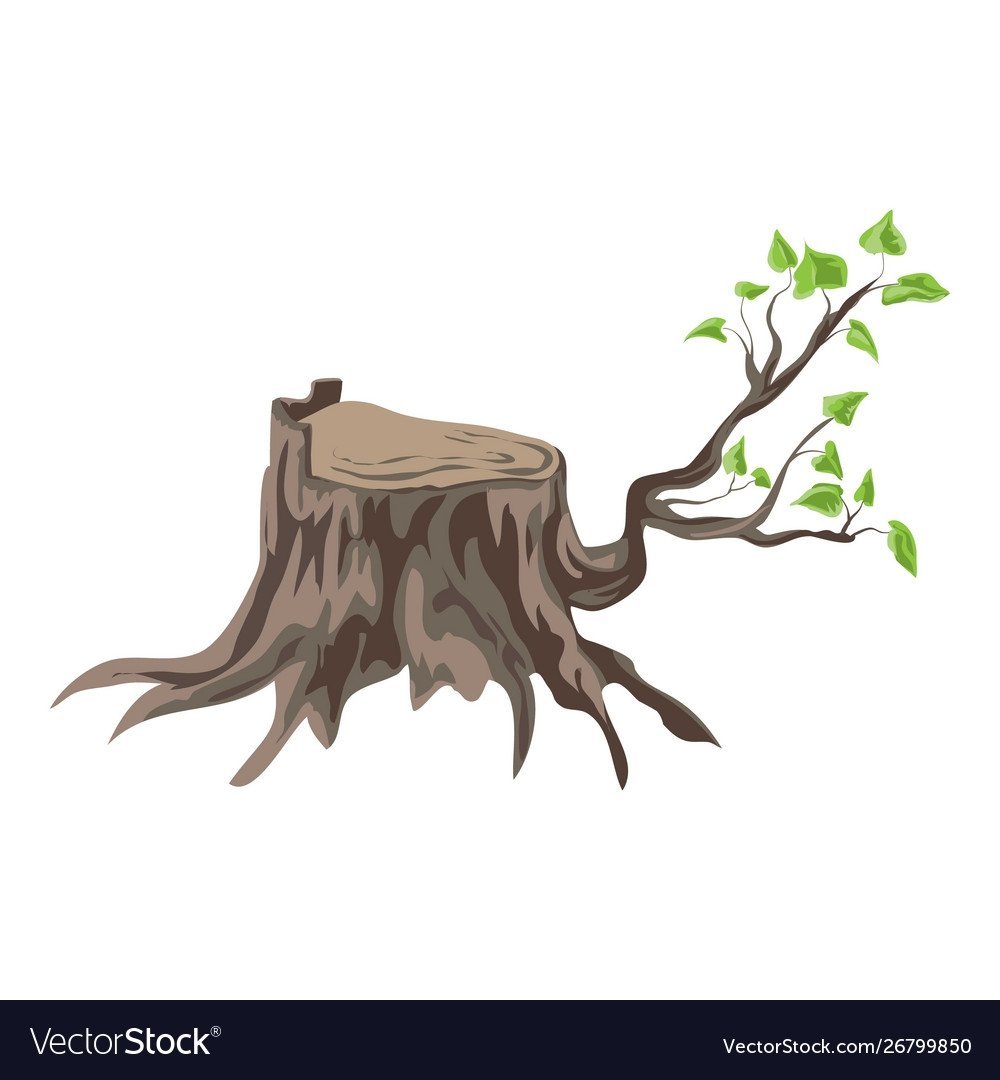 Вектор дерево пенек