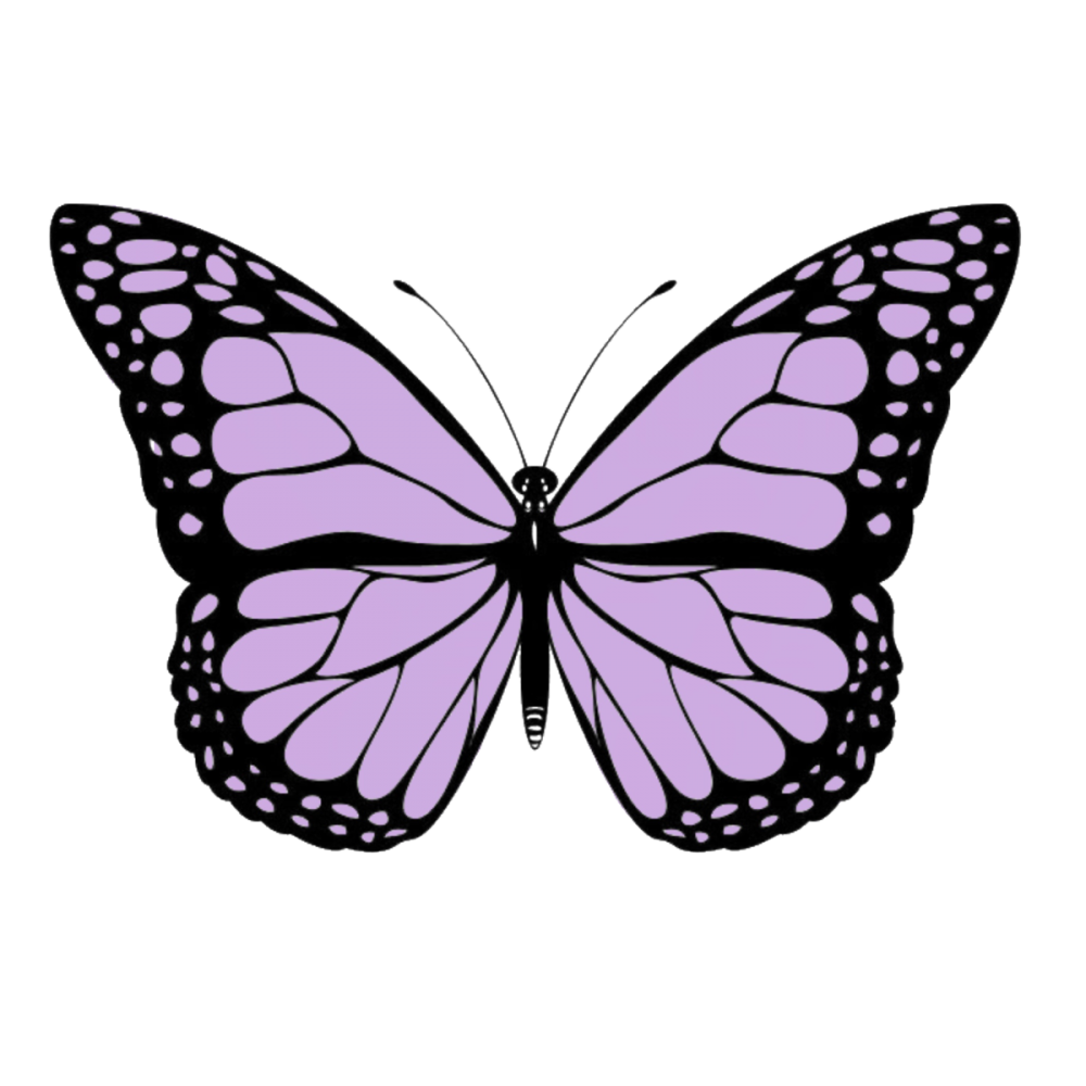 Бабочки эстетичные с белым фоном
