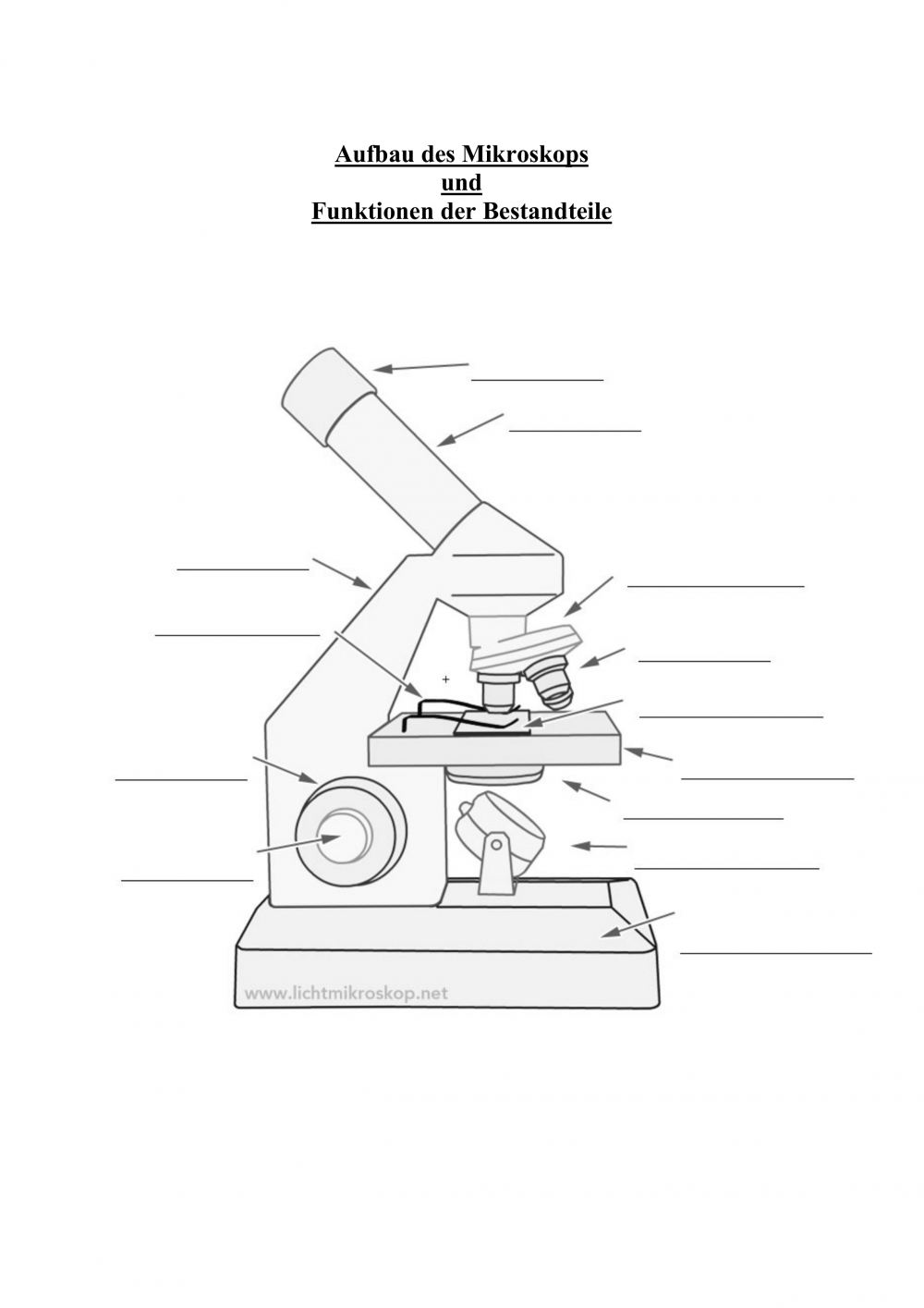 Микроскоп рисунок