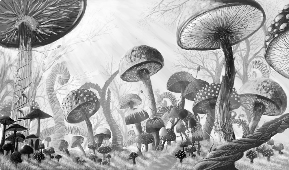 Картинки для срисовки грибы