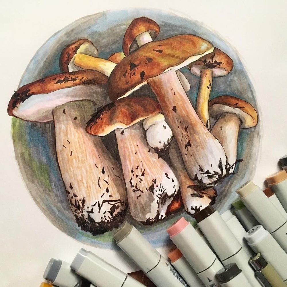 Скетчинг грибы