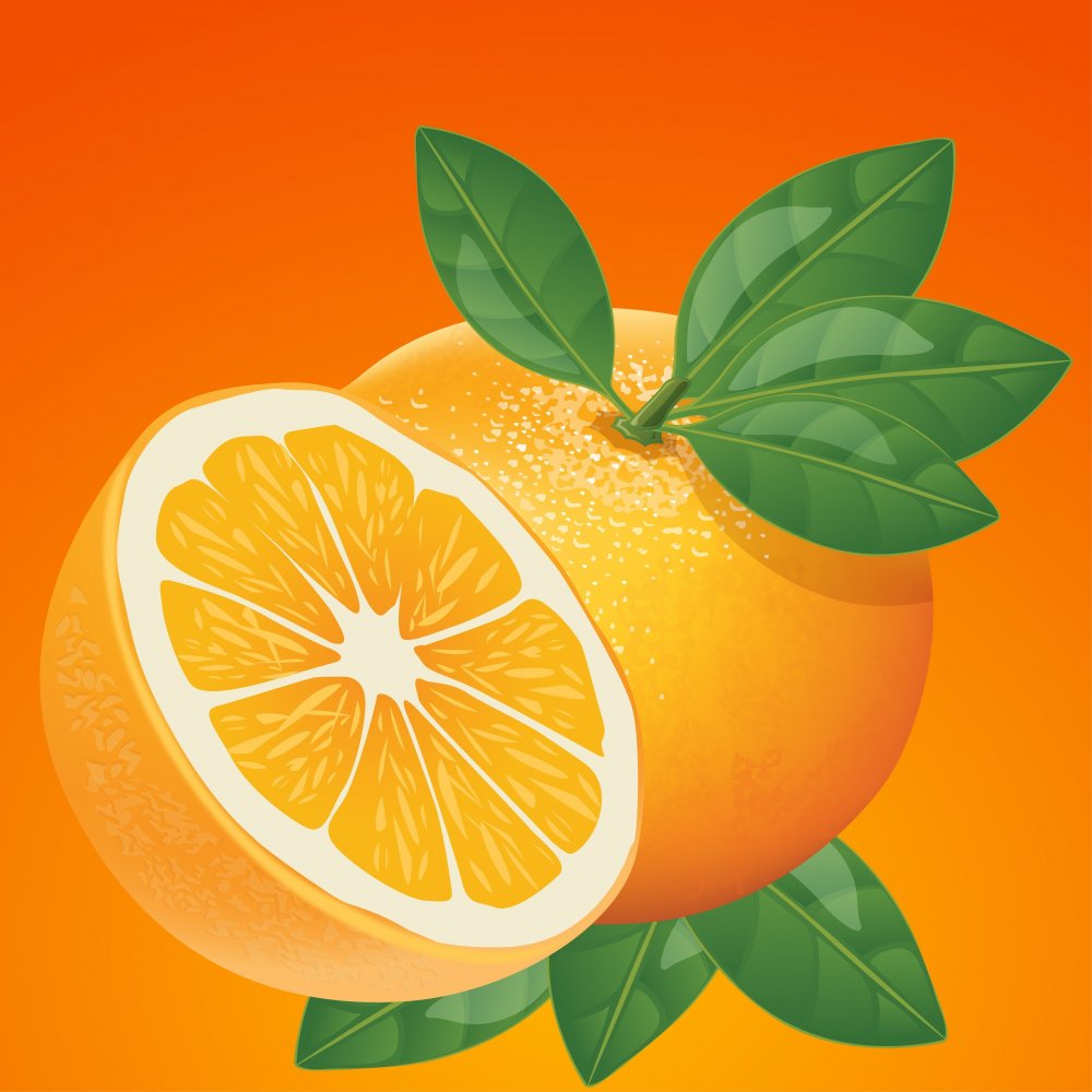 Апельсин рисунок