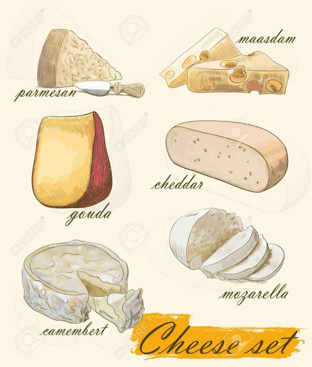 Сыр набросок