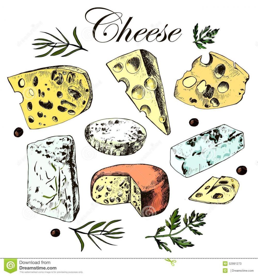 Сыр рисунок