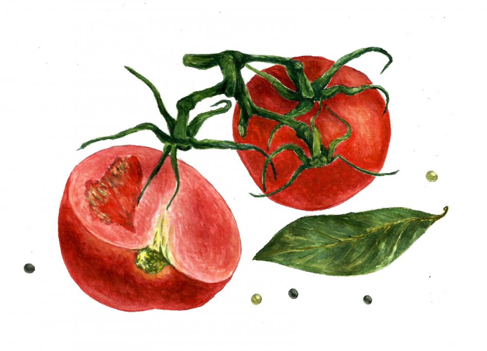 Натюрморт с помидорами