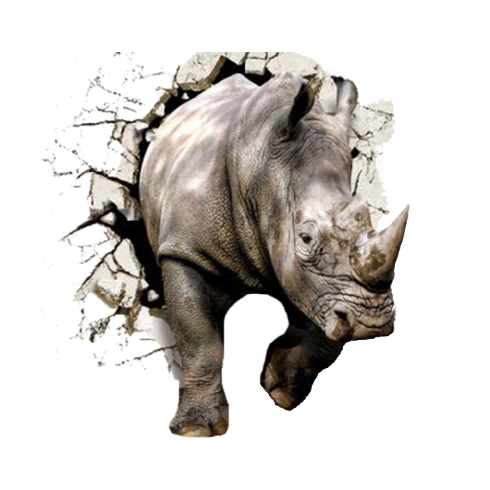 Носорог из стены