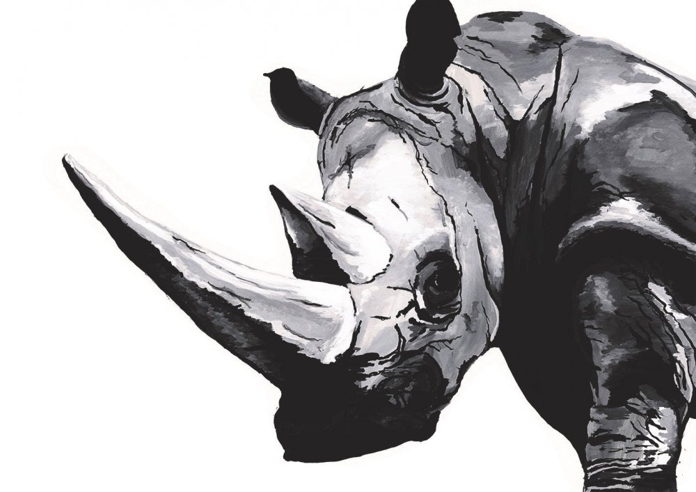 Злой носорог