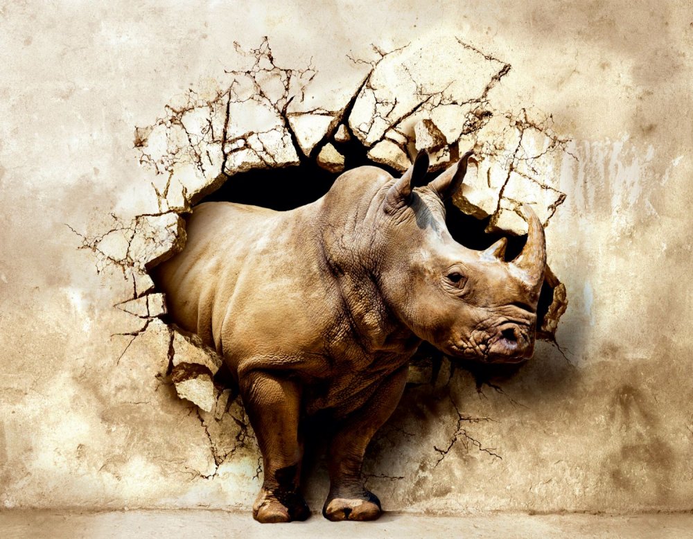 Носорог из стены