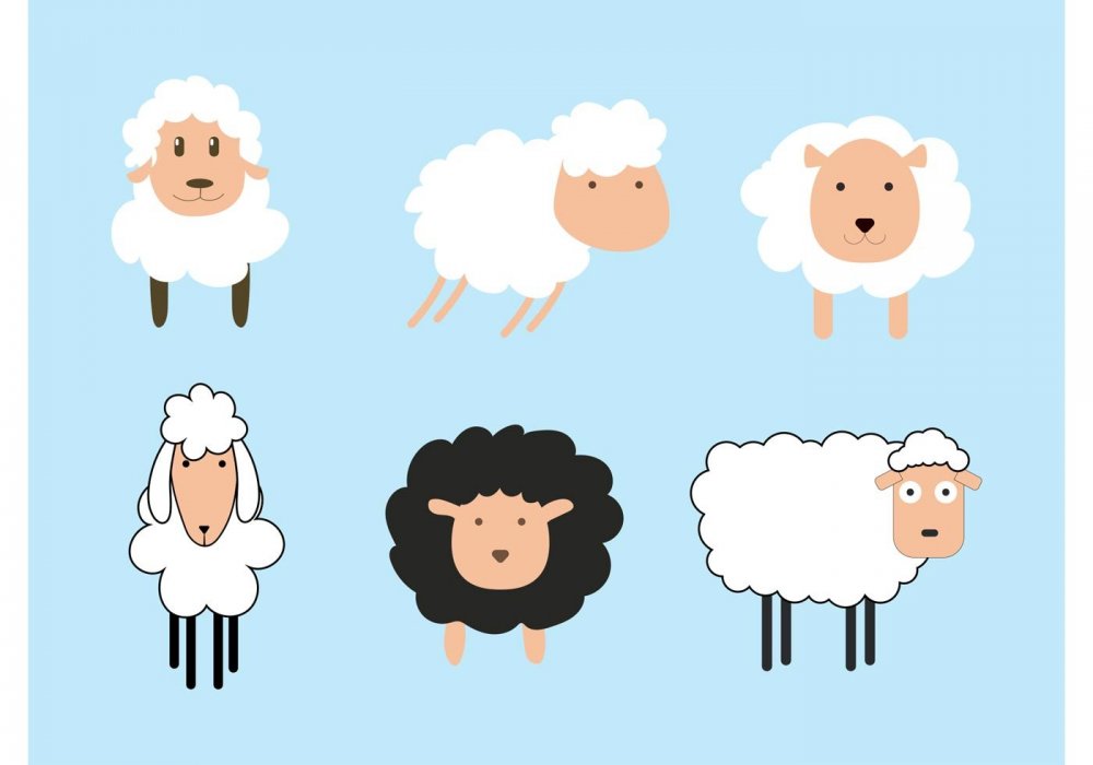 Стрижка овец иллюстрации