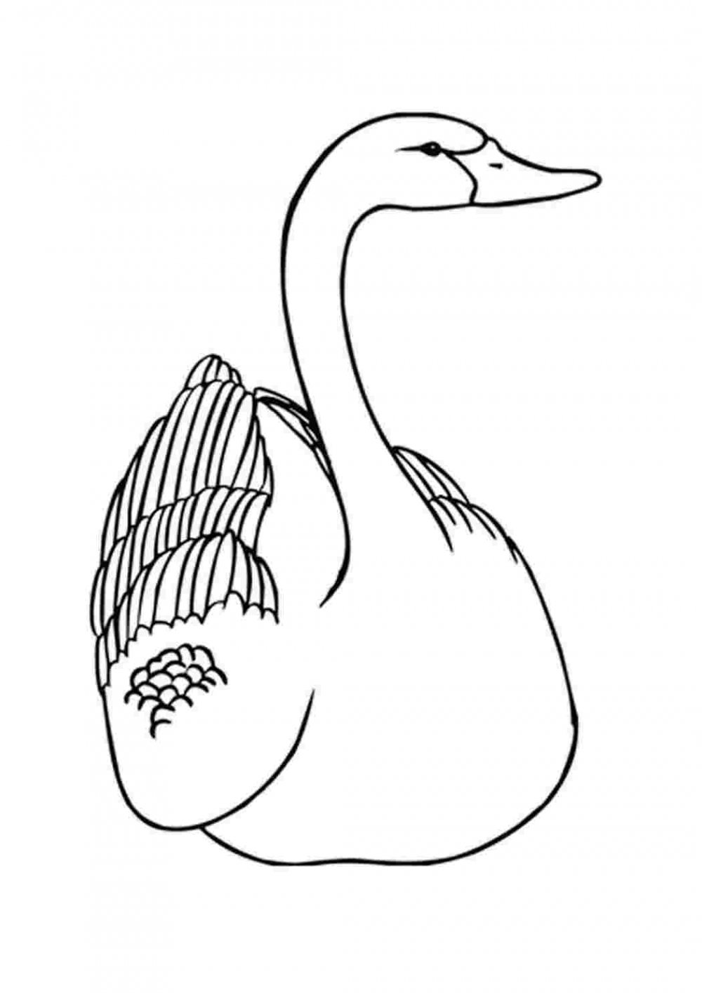 Лебедь раскраска