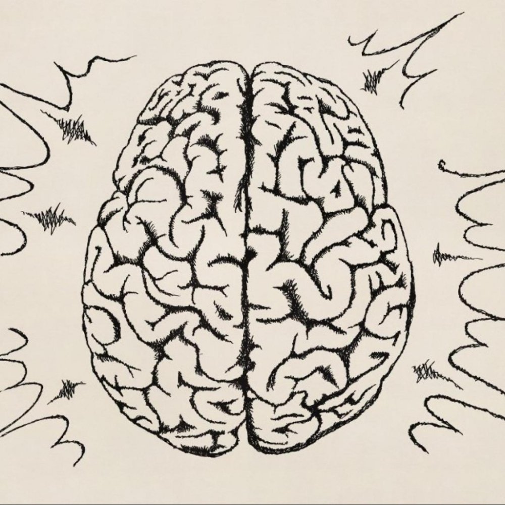 Мозг человека карандашом