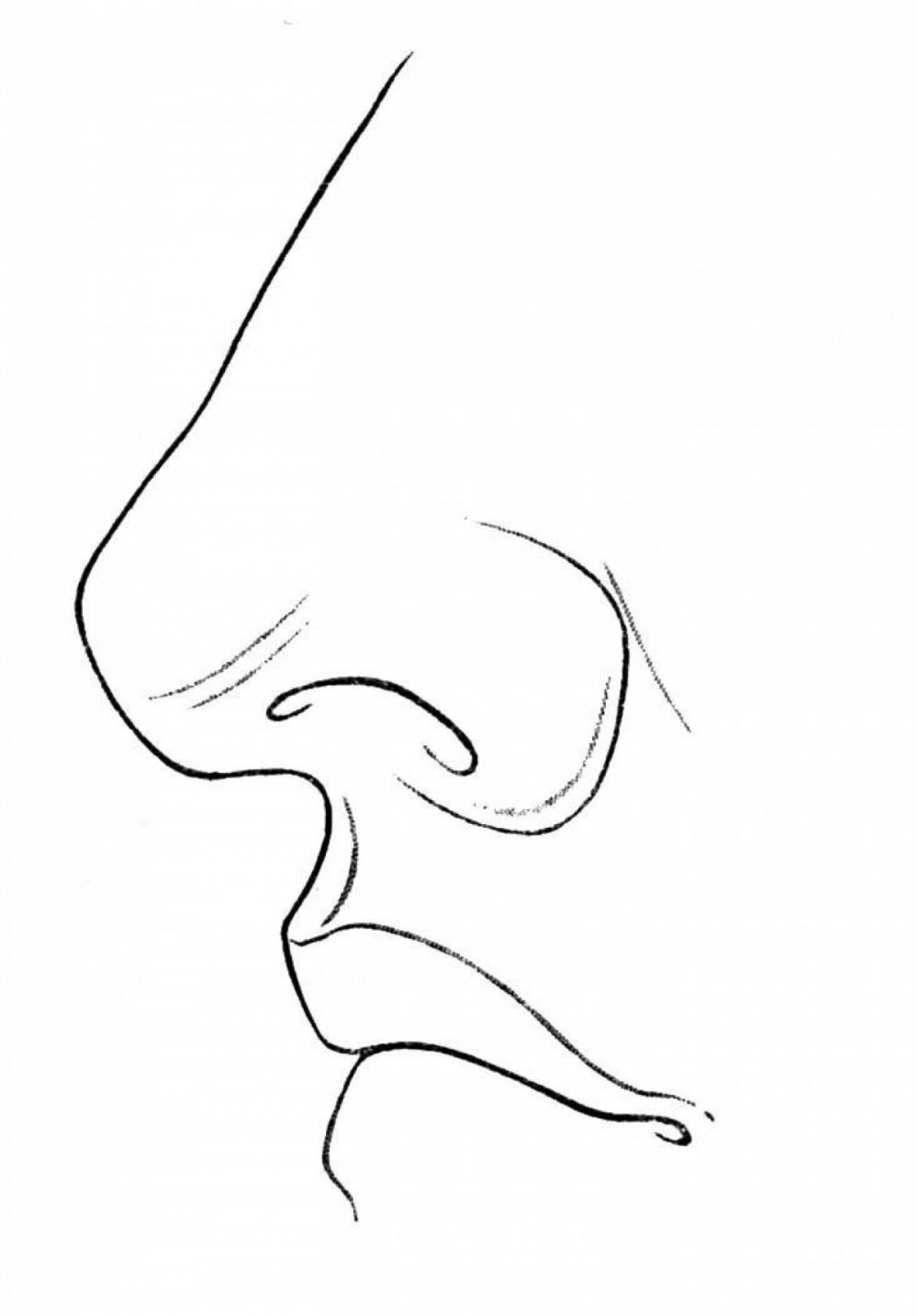 Раскраска нос человека
