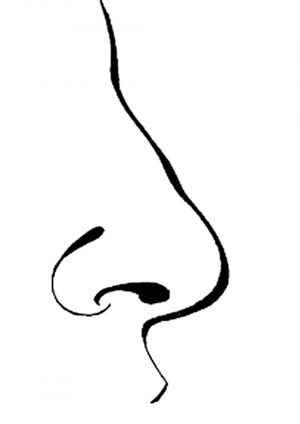 Шаблон женского носа