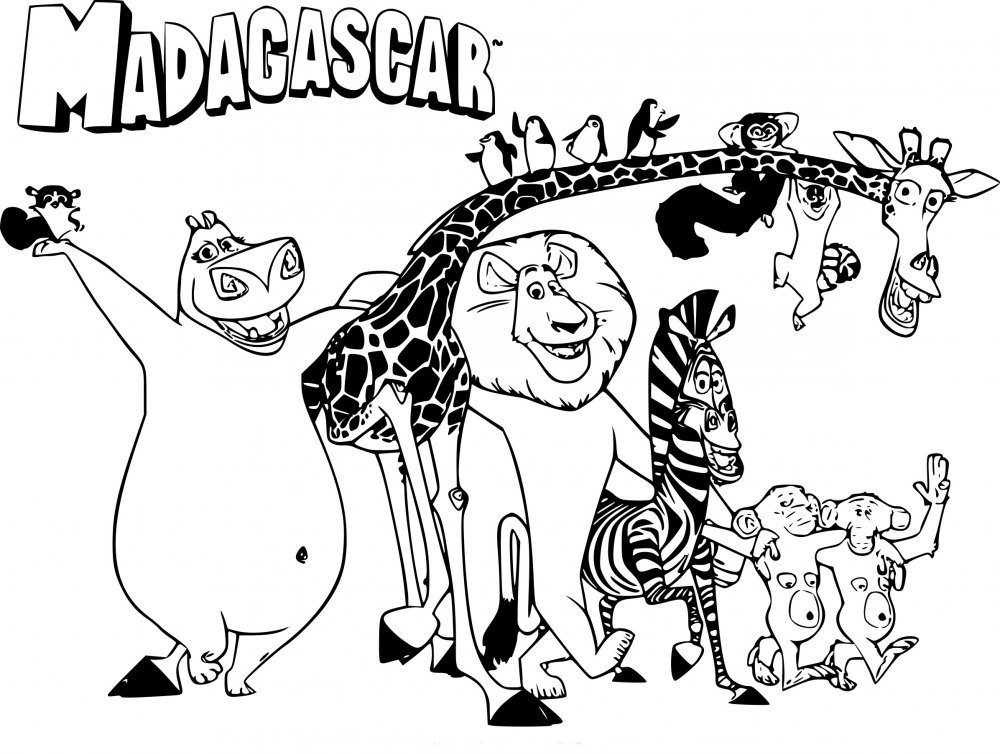 Мадагаскар раскраска для детей