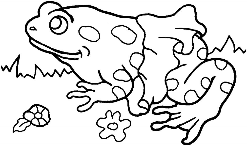 Бумажная жаба черно-белая