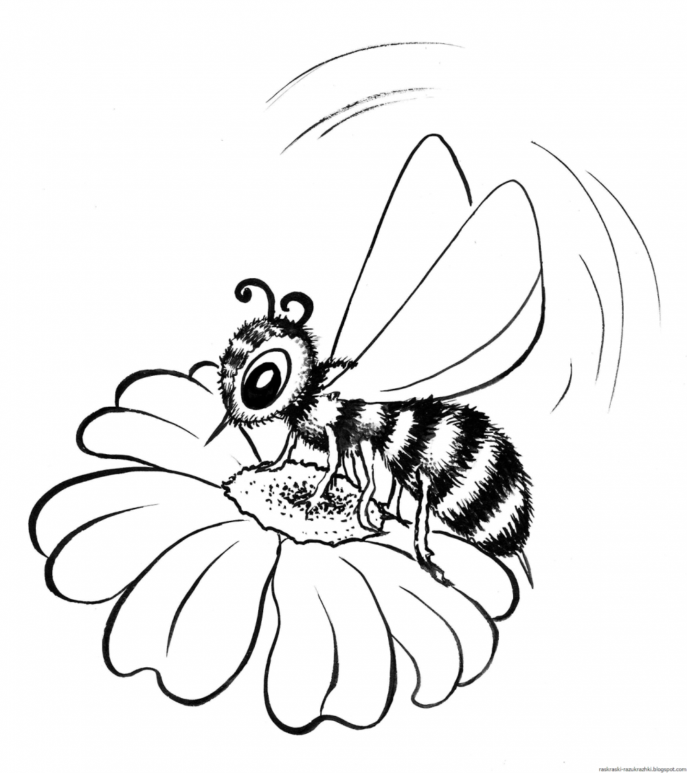 Раскраска пчела для детей 2-3 лет