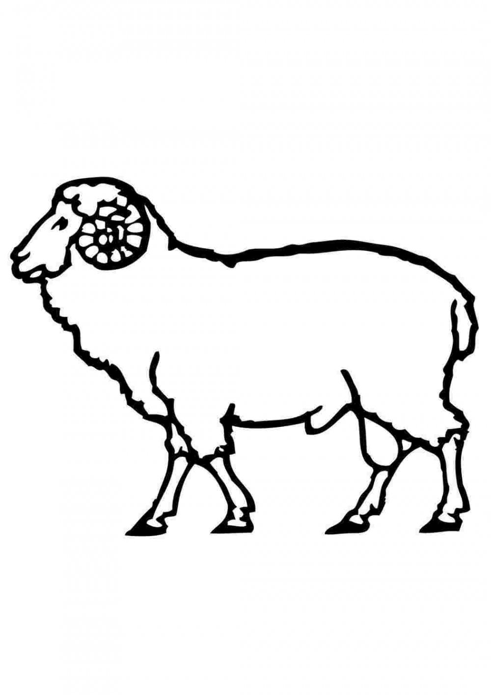 Смешная овца рисунок