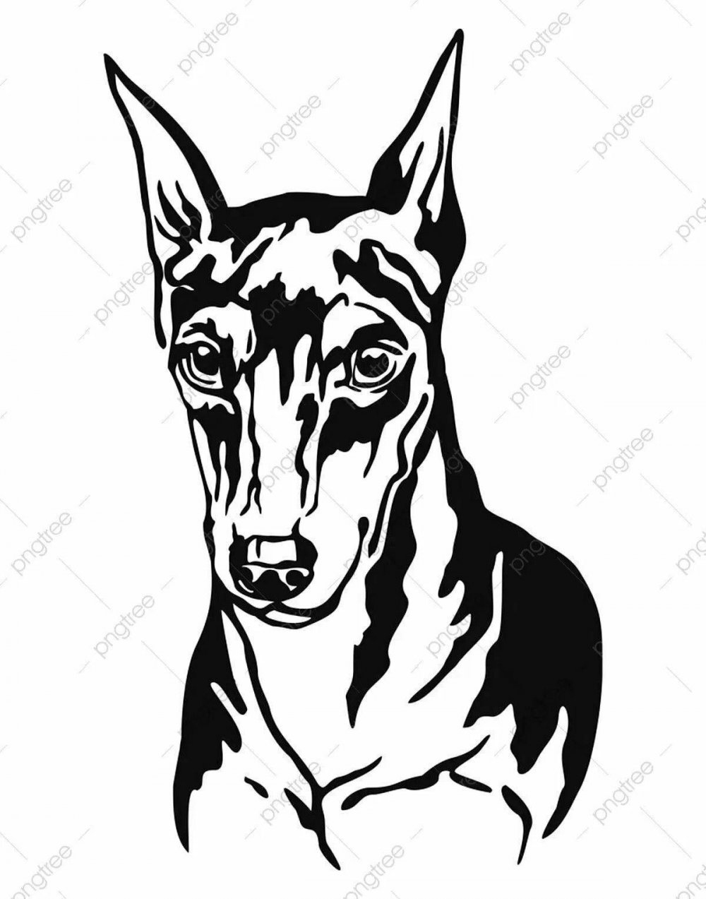 Рисунки собаки Доберман для начинающих