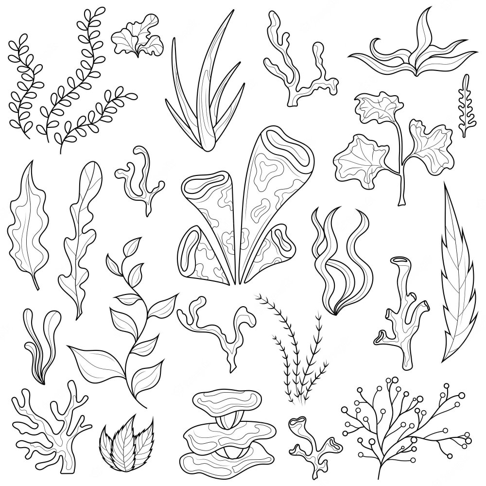 Рисуем водоросли и кораллы