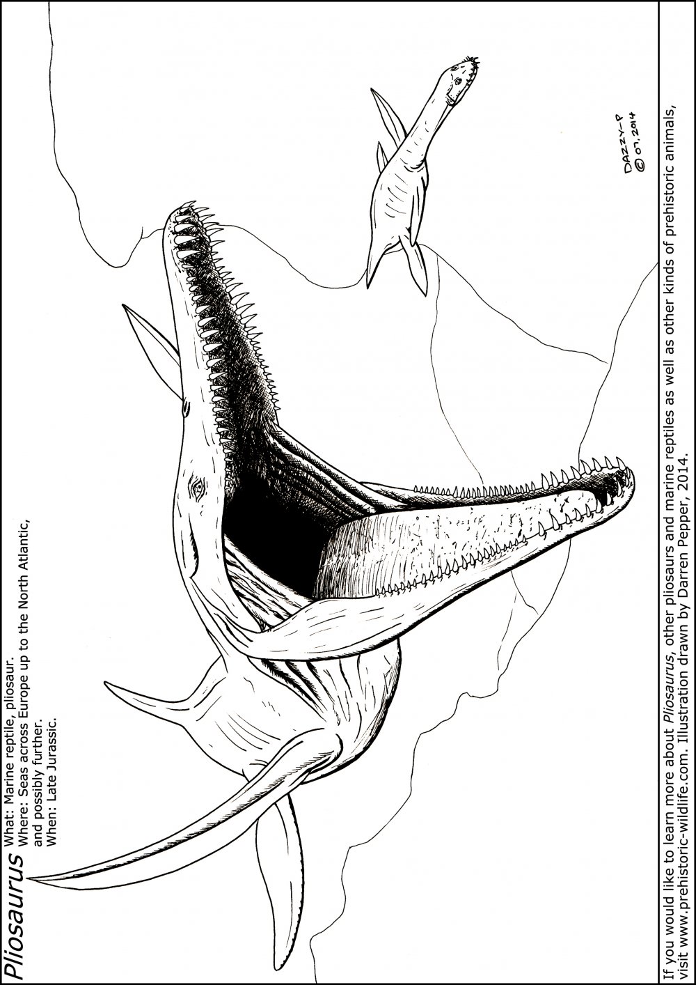 Динозавр Лиоплевродон скелет