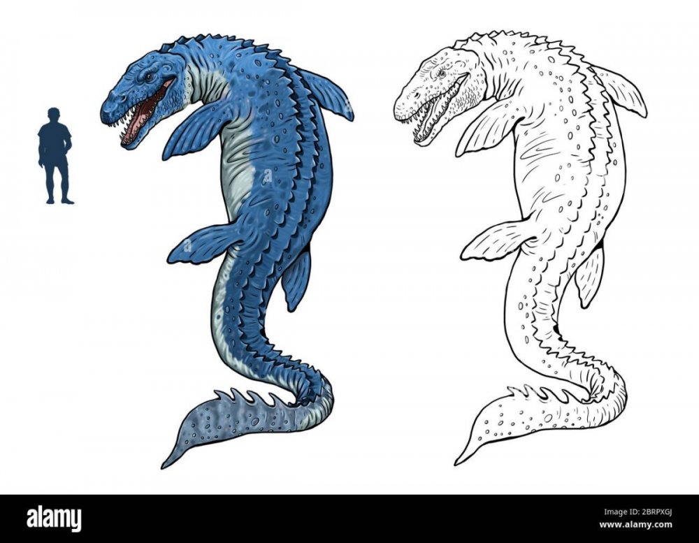 Морской дракон Мосасаур раскраска