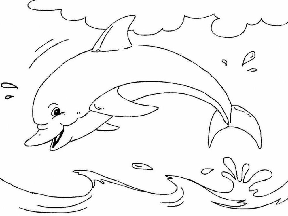 Раскраска Дельфин