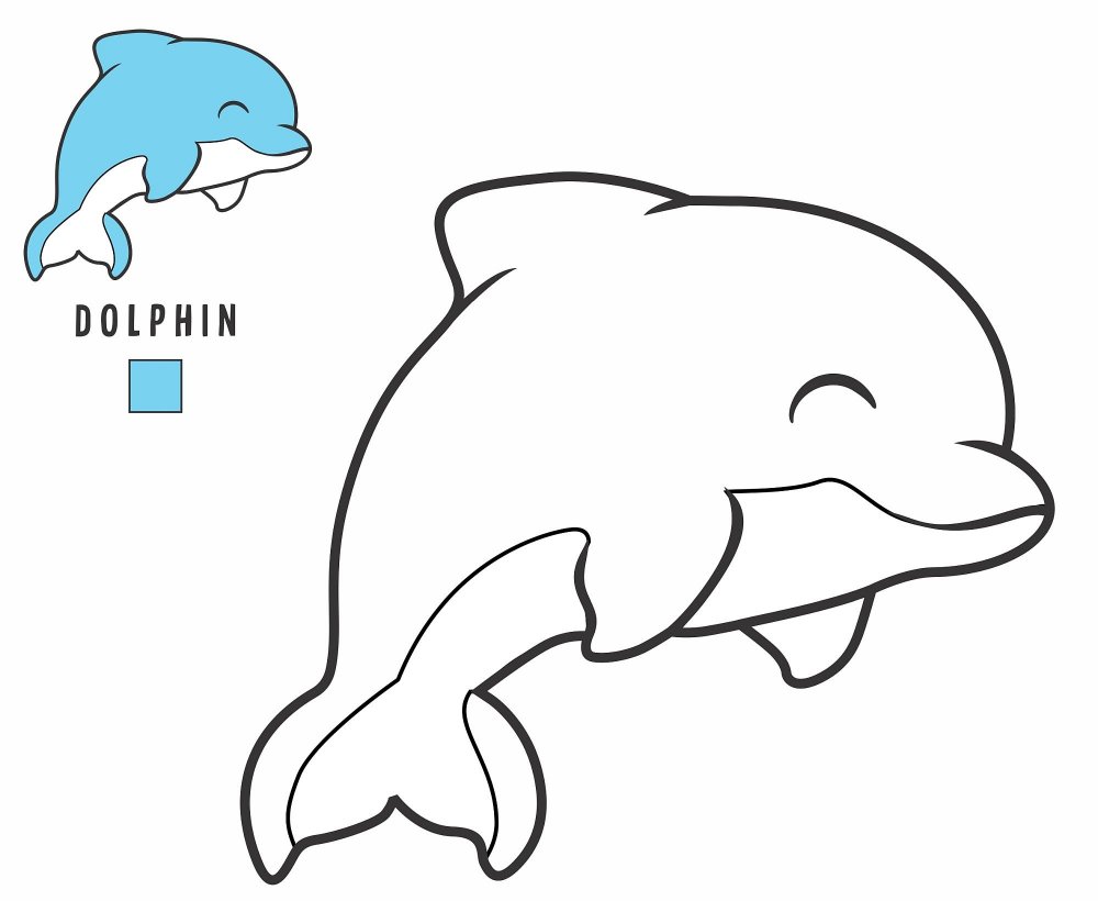 Раскраска животные Дельфин