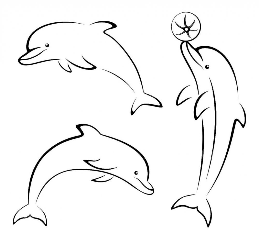 Дельфин раскраска для детей 4-5 лет