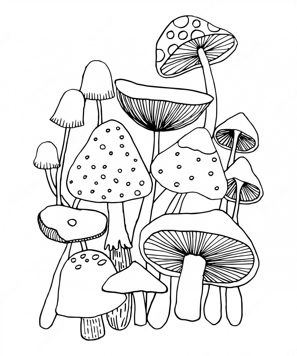 Раскраски грибы Эстетика