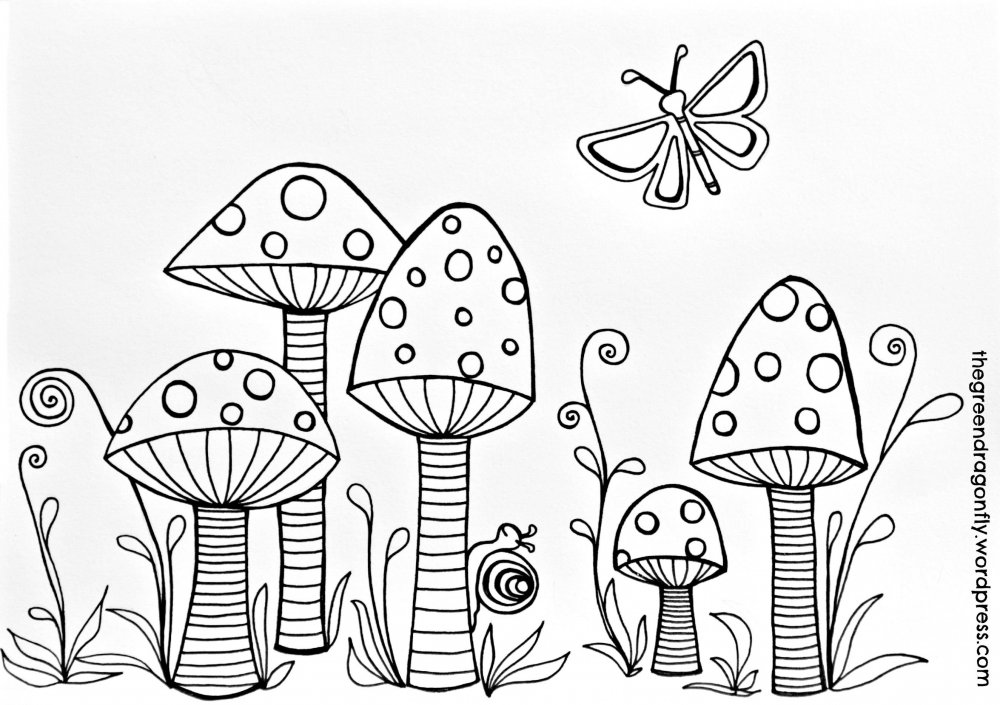 Съедобные и несъедобные грибы раскраска для детей