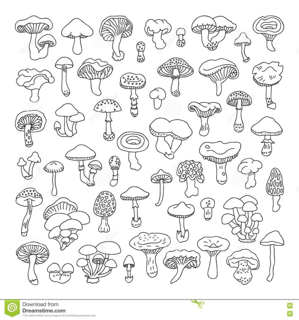 Дудлы грибы