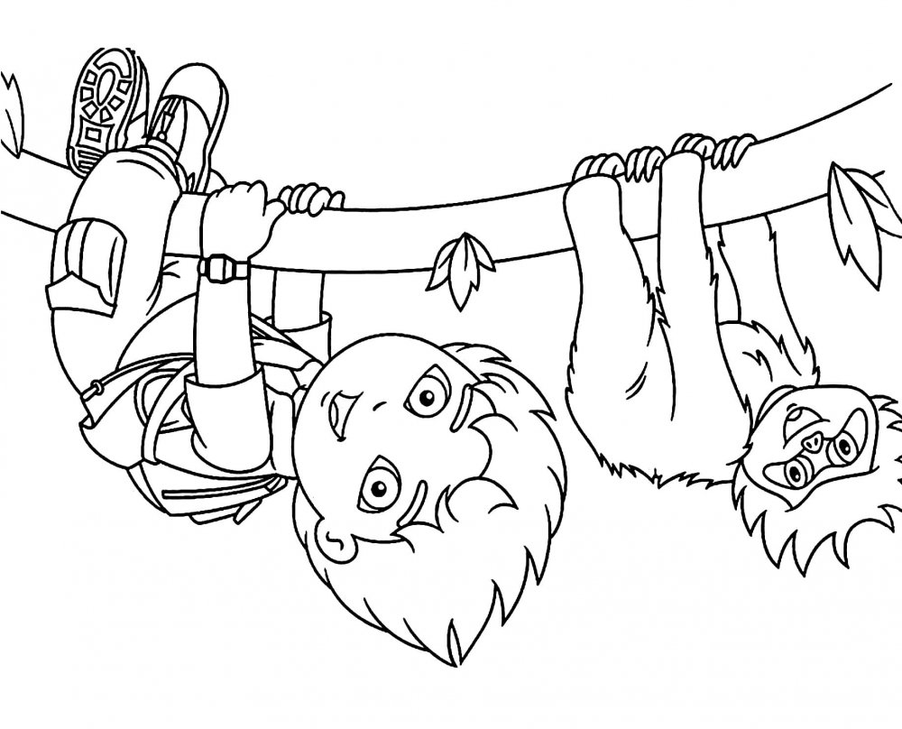 Sloth Worksheet for Kids