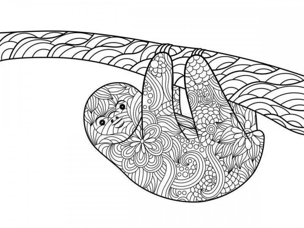 Ленивец раскраска