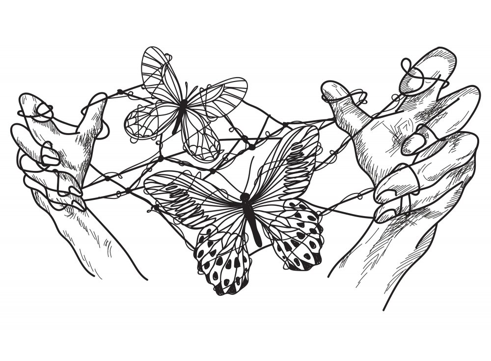 Бабочки раскраска Эстетика
