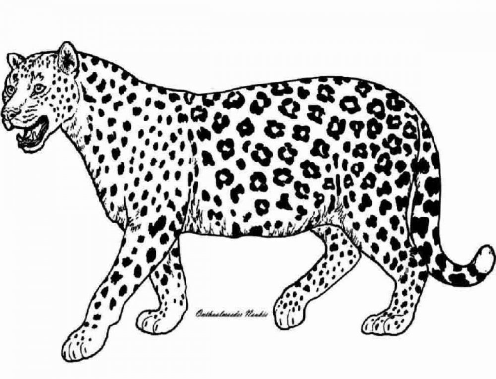 Стилизованные леопарды
