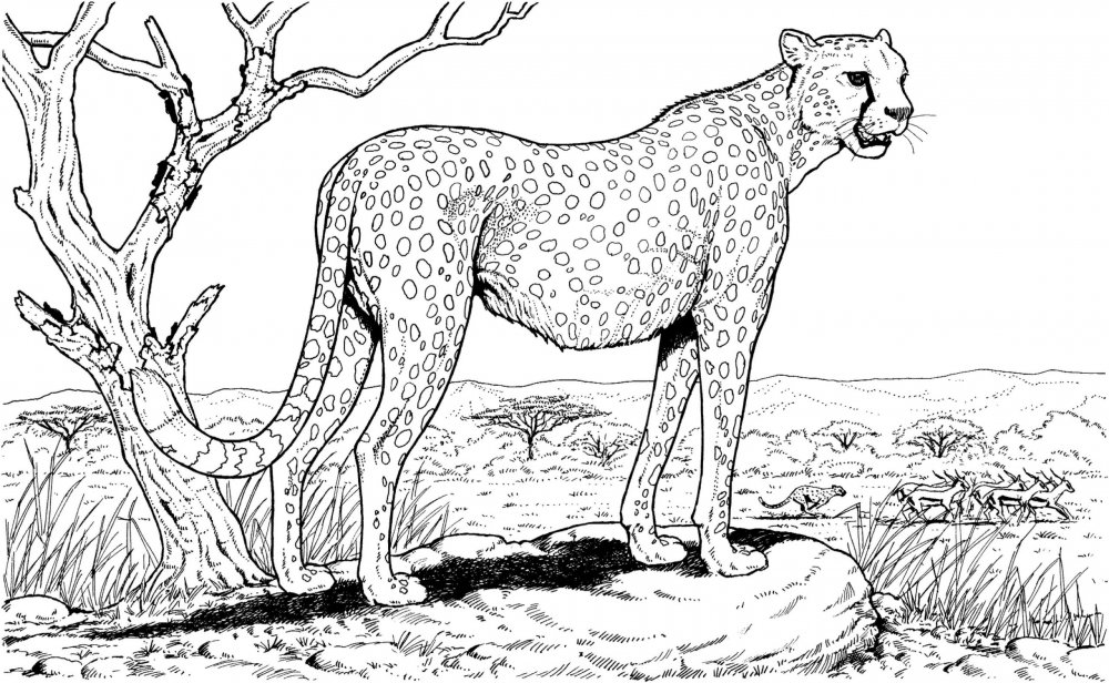 Леопард мультяшный
