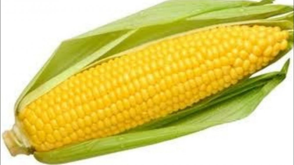 Векторная кукуруза