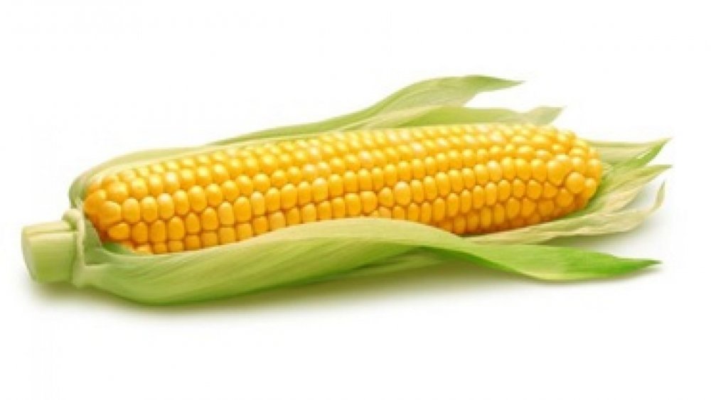 Горячая вареная кукуруза