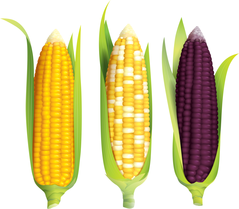Стилизованная кукуруза