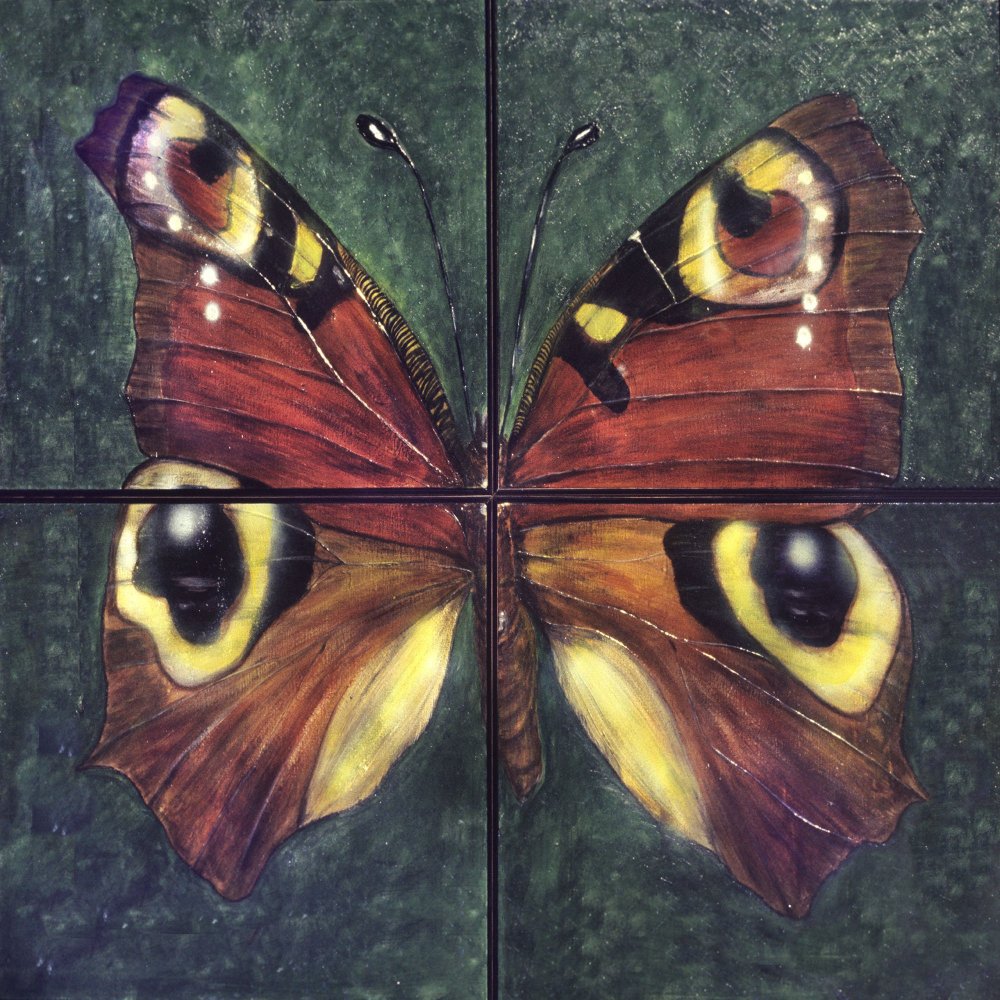 Симметрия в живописи бабочка