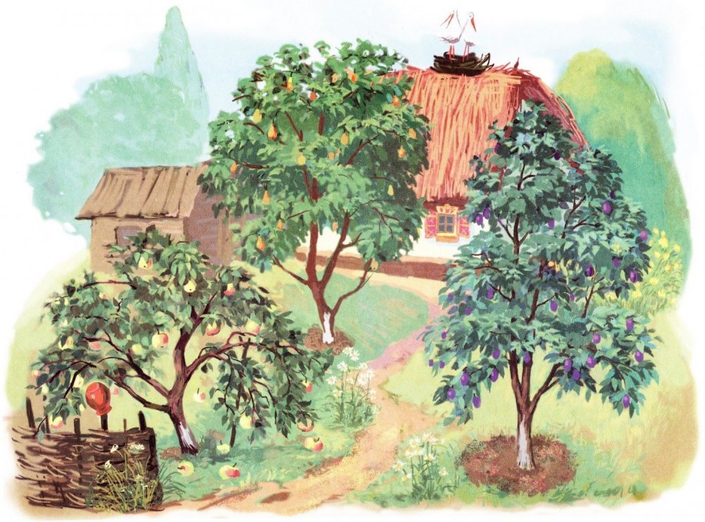 Сад с фруктовыми деревьями для детей