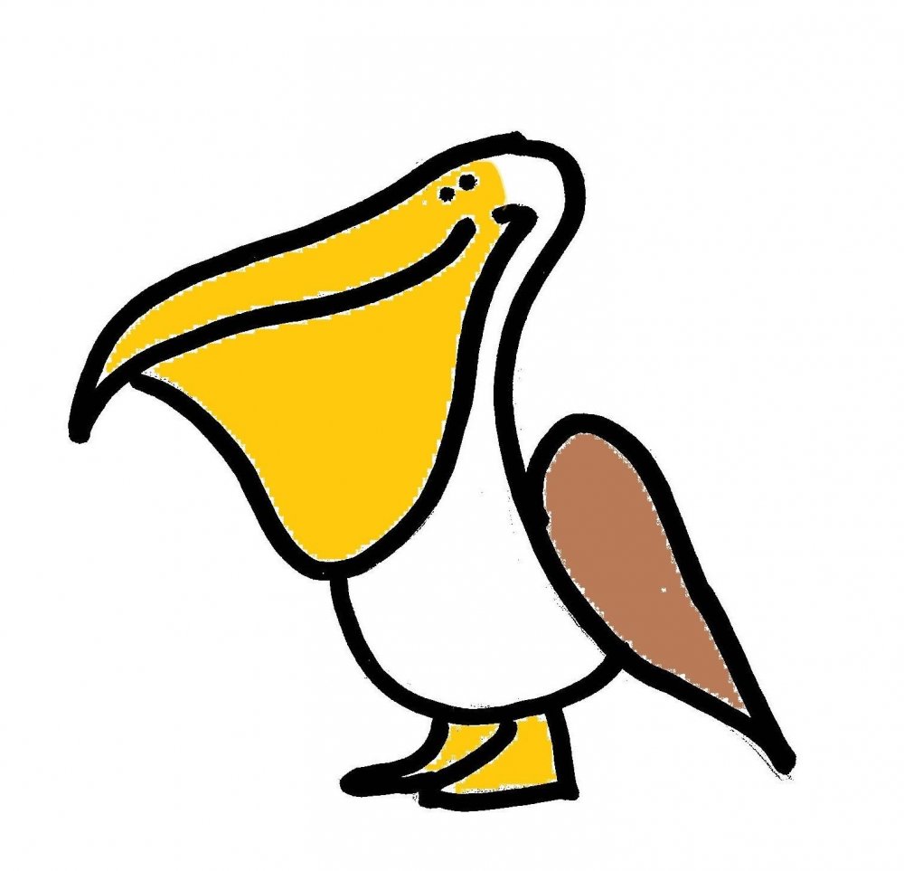 Пеликан птица на прозрачном фоне