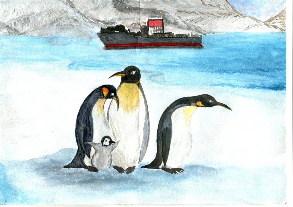 Антарктида рисунок