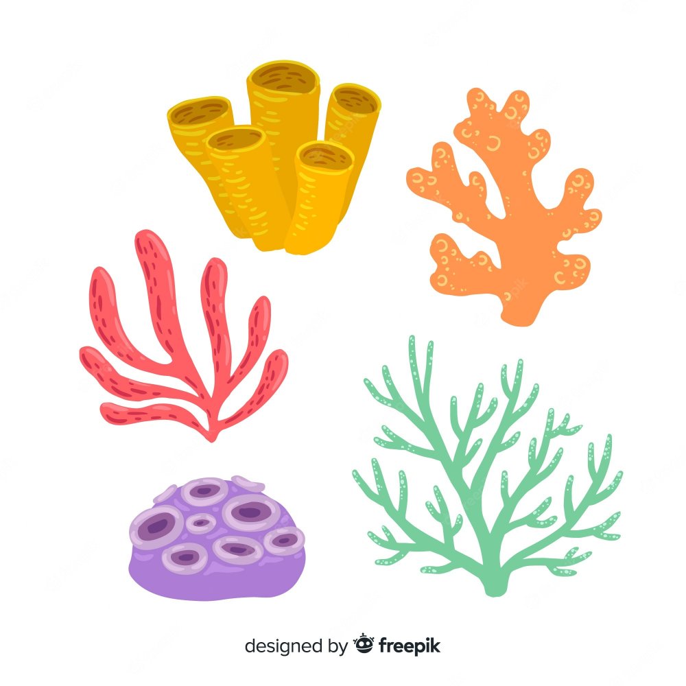 Кораллы рисунок для детей лёгкий
