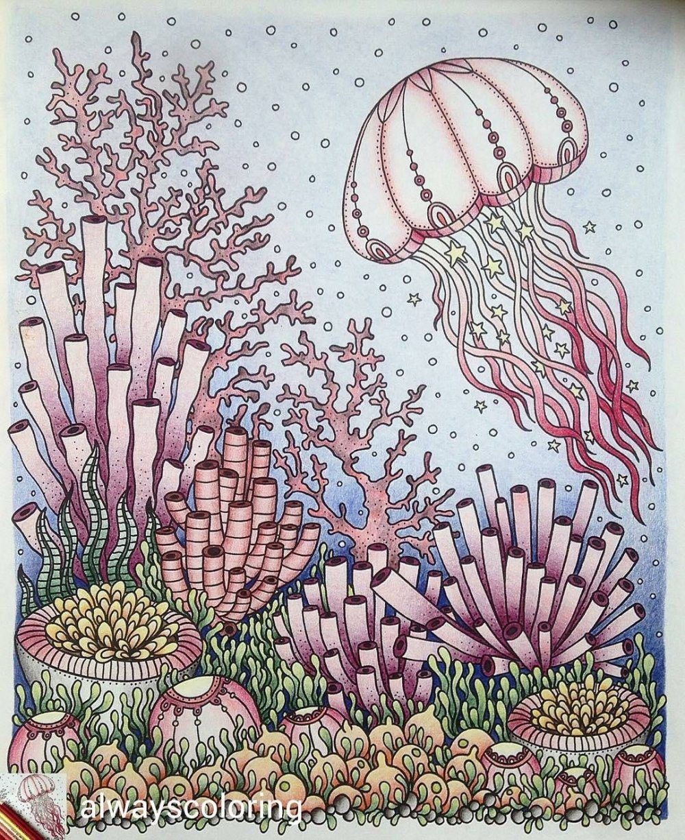 Рисунок колониальные кораллы