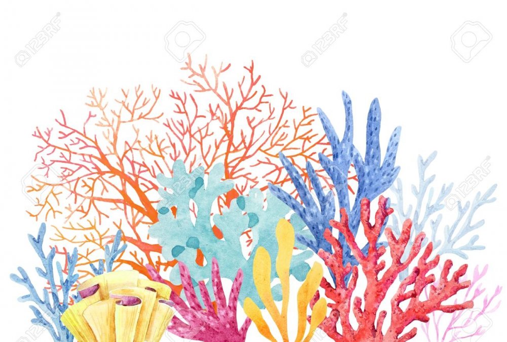 Кораллы и фоны акварель