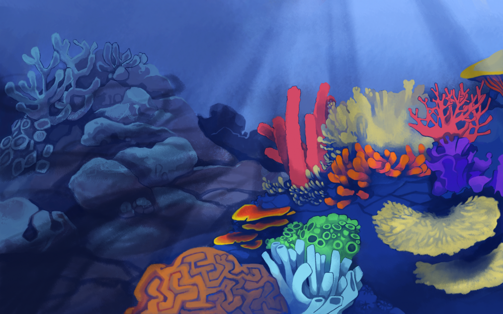 Коралловый риф для детей