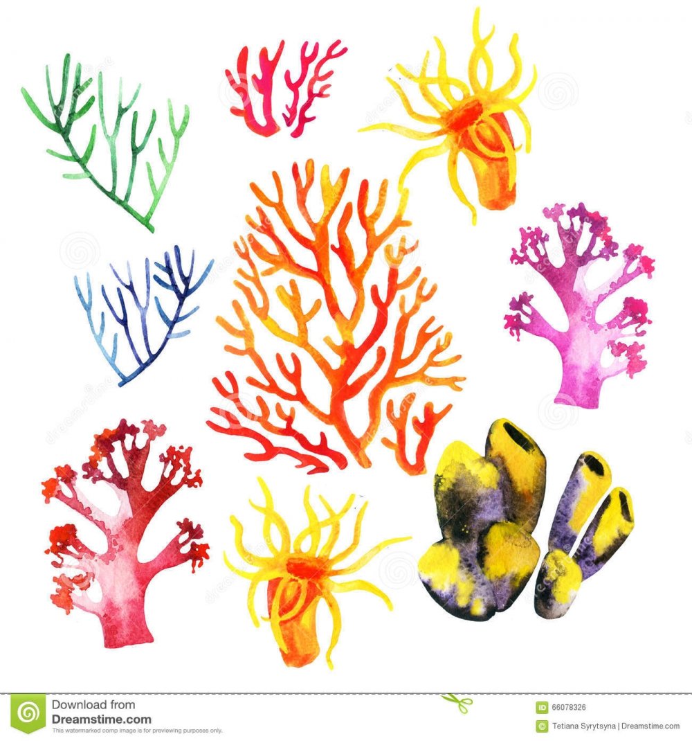 Рисуем водоросли и кораллы
