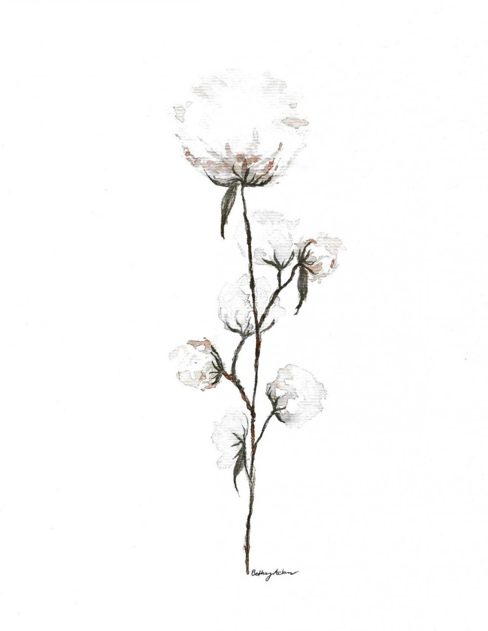 Черно белая акварель цветы