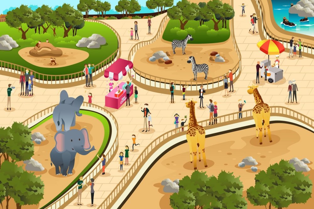 Игровое поле зоопарк